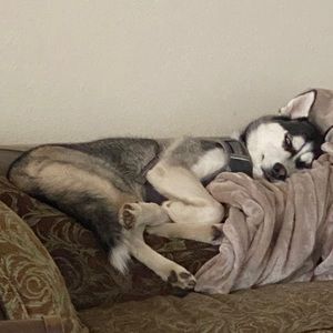 Meet your Posher, Rita